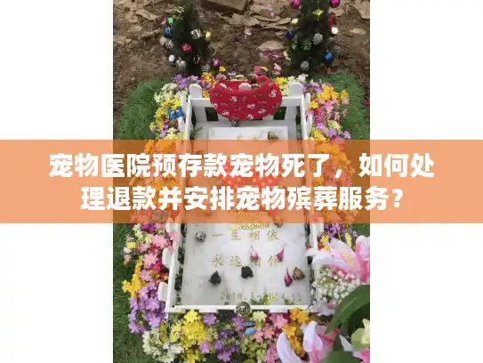 宠物医院预存款宠物死了，如何处理退款并安排宠物殡葬服务？