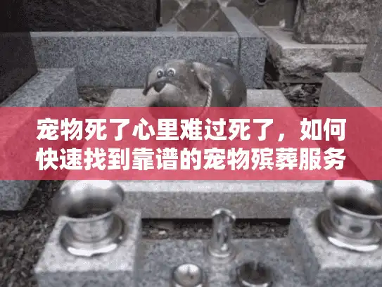 宠物死了心里难过死了，如何快速找到靠谱的宠物殡葬服务？