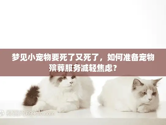 梦见小宠物要死了又死了，如何准备宠物殡葬服务减轻焦虑？