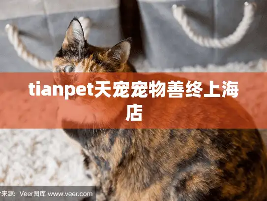 tianpet天宠宠物善终上海店