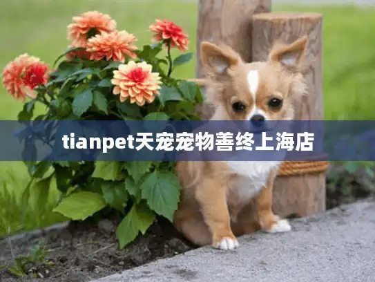 tianpet天宠宠物善终上海店