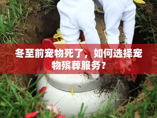 冬至前宠物死了，如何选择宠物殡葬服务？