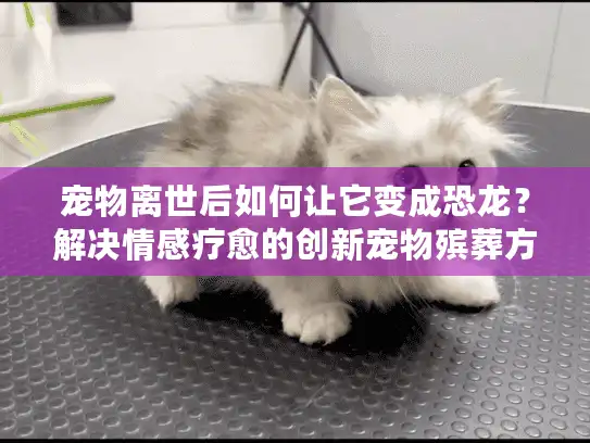 宠物离世后如何让它变成恐龙？解决情感疗愈的创新宠物殡葬方式
