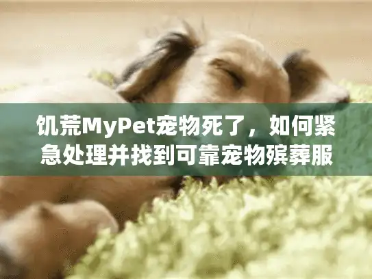 饥荒MyPet宠物死了，如何紧急处理并找到可靠宠物殡葬服务？