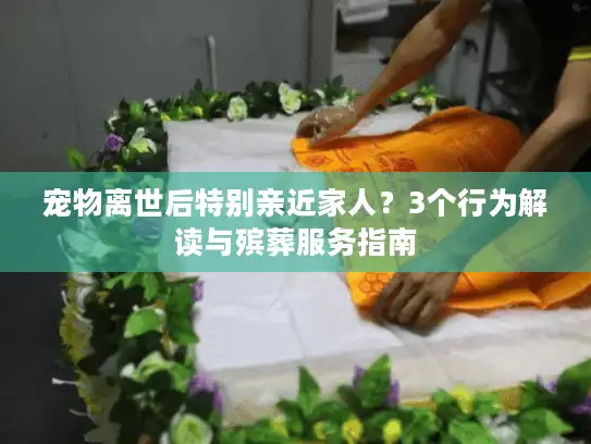 宠物离世后特别亲近家人？3个行为解读与殡葬服务指南