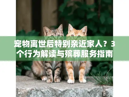 宠物离世后特别亲近家人？3个行为解读与殡葬服务指南