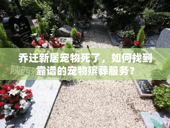 乔迁新居宠物死了，如何找到靠谱的宠物殡葬服务？