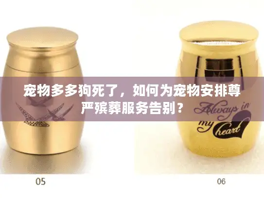 宠物多多狗死了，如何为宠物安排尊严殡葬服务告别？