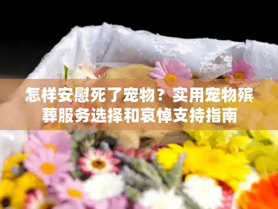 怎样安慰死了宠物？实用宠物殡葬服务选择和哀悼支持指南