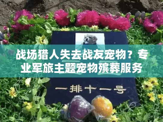 战场猎人失去战友宠物？专业军旅主题宠物殡葬服务指南
