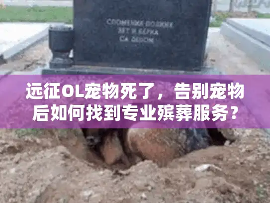 远征OL宠物死了，告别宠物后如何找到专业殡葬服务？