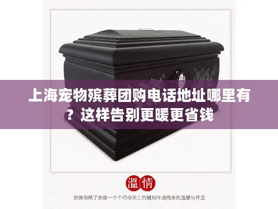 上海宠物殡葬团购电话地址哪里有？这样告别更暖更省钱
