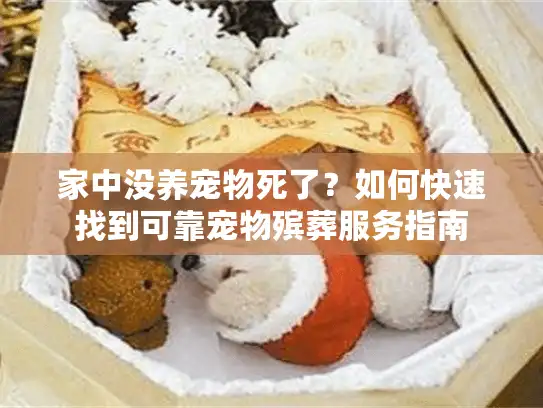 家中没养宠物死了？如何快速找到可靠宠物殡葬服务指南