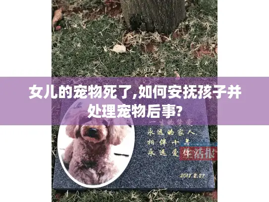 女儿的宠物死了,如何安抚孩子并处理宠物后事?