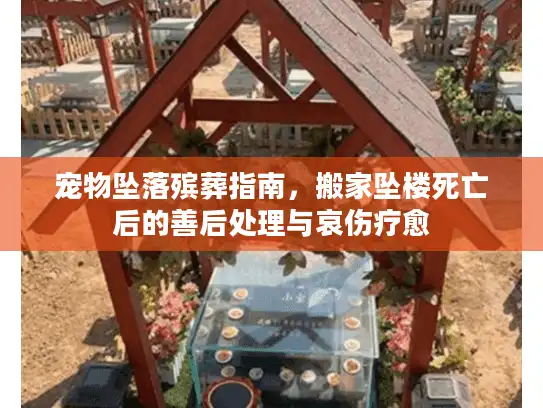 宠物坠落殡葬指南，搬家坠楼死亡后的善后处理与哀伤疗愈