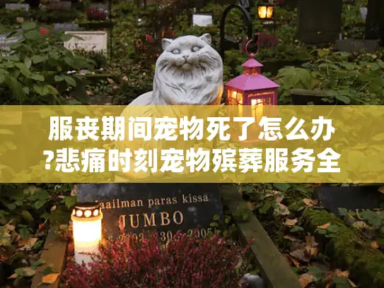 服丧期间宠物死了怎么办?悲痛时刻宠物殡葬服务全流程指南