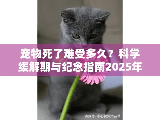宠物死了难受多久？科学缓解期与纪念指南2025年新解