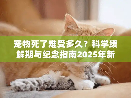 宠物死了难受多久？科学缓解期与纪念指南2025年新解