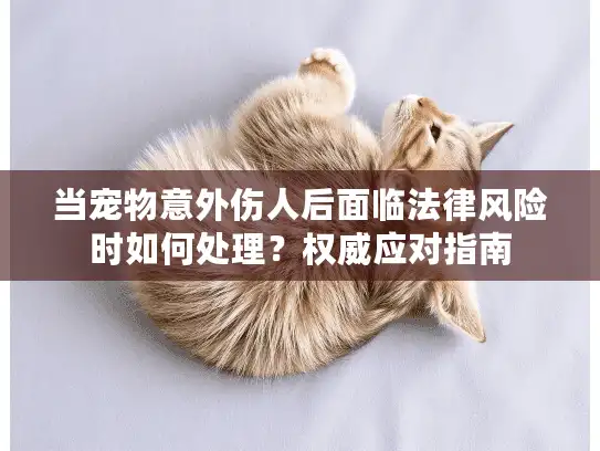 当宠物意外伤人后面临法律风险时如何处理？权威应对指南