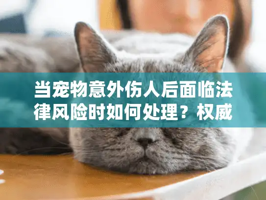 当宠物意外伤人后面临法律风险时如何处理？权威应对指南