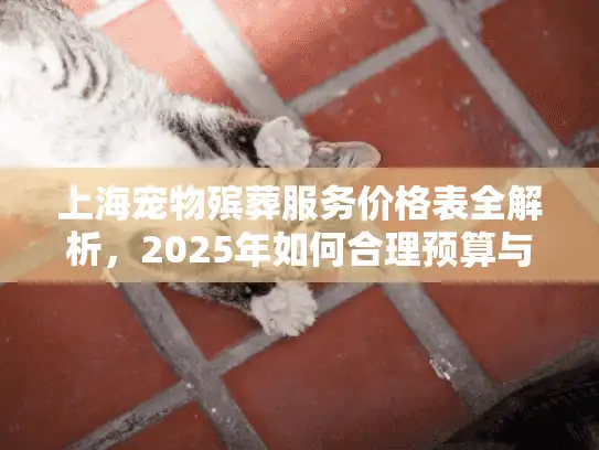 上海宠物殡葬服务价格表全解析，2025年如何合理预算与选择？