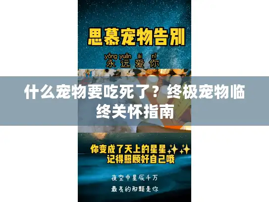 什么宠物要吃死了？终极宠物临终关怀指南