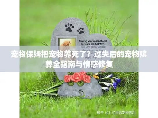 宠物保姆把宠物养死了？过失后的宠物殡葬全指南与情感修复