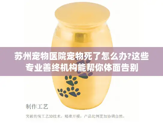 苏州宠物医院宠物死了怎么办?这些专业善终机构能帮你体面告别