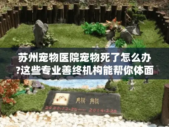 苏州宠物医院宠物死了怎么办?这些专业善终机构能帮你体面告别