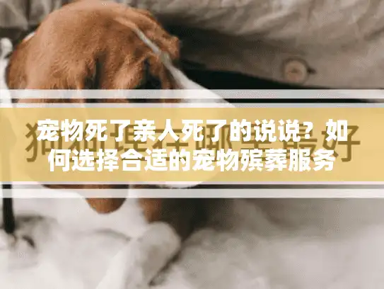 宠物死了亲人死了的说说？如何选择合适的宠物殡葬服务
