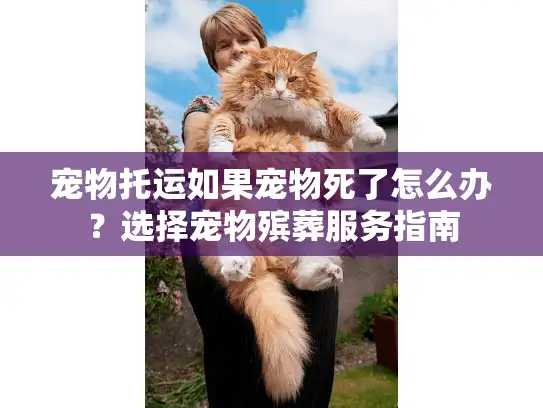 宠物托运如果宠物死了怎么办？选择宠物殡葬服务指南