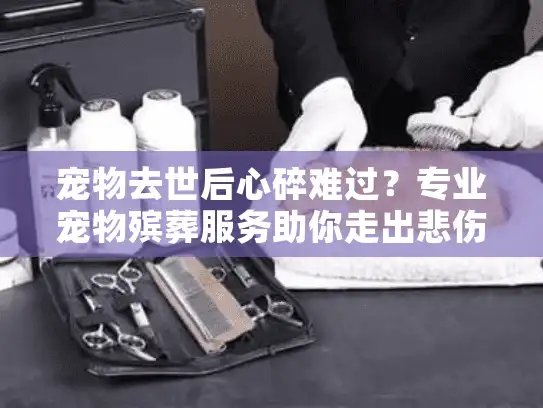 宠物去世后心碎难过？专业宠物殡葬服务助你走出悲伤低谷