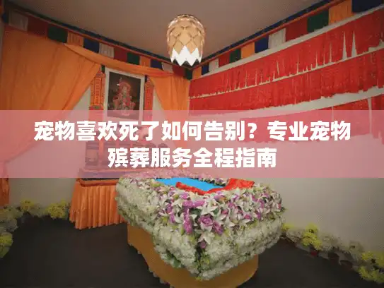 宠物喜欢死了如何告别？专业宠物殡葬服务全程指南