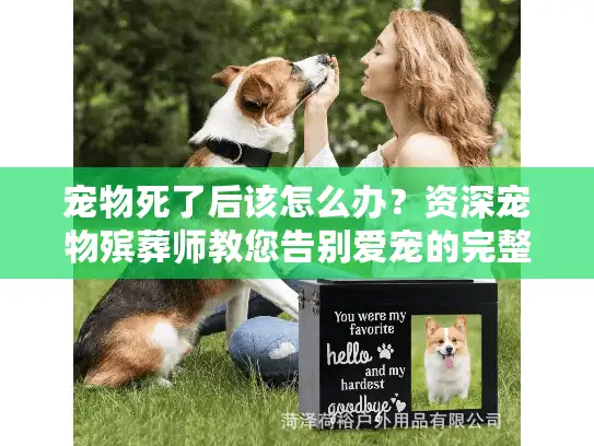 宠物死了后该怎么办？资深宠物殡葬师教您告别爱宠的完整流程