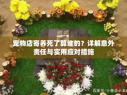 宠物店寄养死了算谁的？详解意外责任与实用应对措施