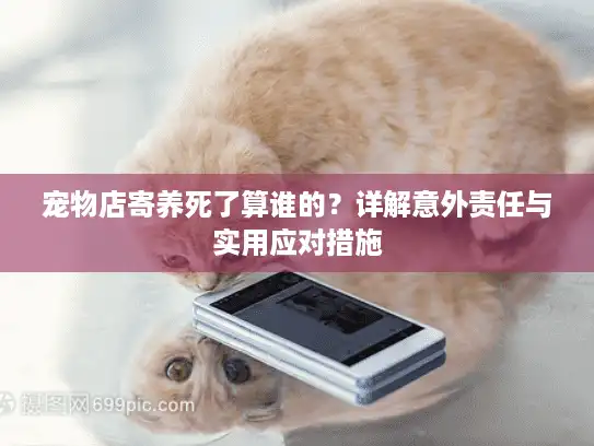 宠物店寄养死了算谁的？详解意外责任与实用应对措施