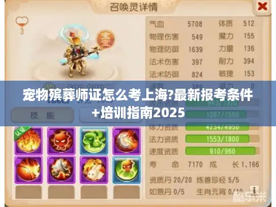 宠物殡葬师证怎么考上海?最新报考条件+培训指南2025