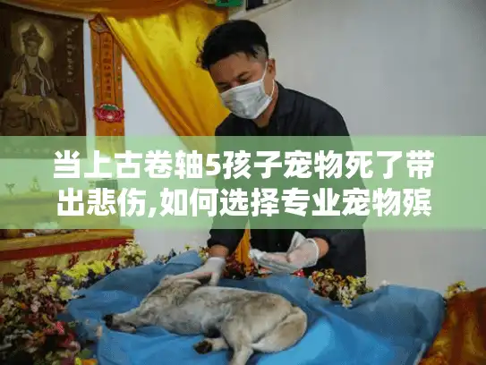 当上古卷轴5孩子宠物死了带出悲伤,如何选择专业宠物殡葬服务?