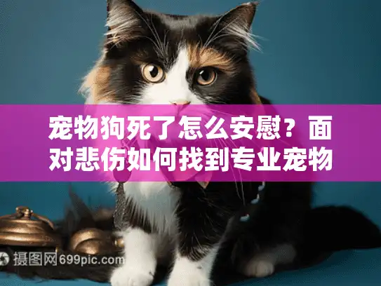 宠物狗死了怎么安慰？面对悲伤如何找到专业宠物殡葬服务