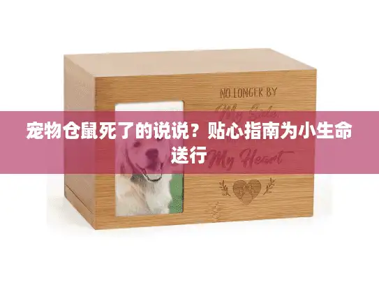 宠物仓鼠死了的说说？贴心指南为小生命送行