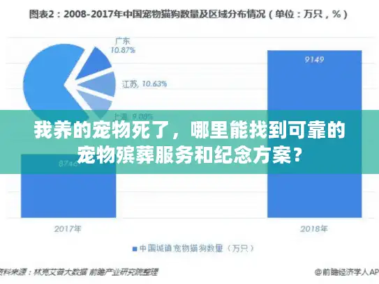 我养的宠物死了，哪里能找到可靠的宠物殡葬服务和纪念方案？
