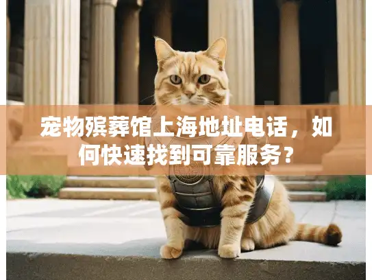 宠物殡葬馆上海地址电话，如何快速找到可靠服务？