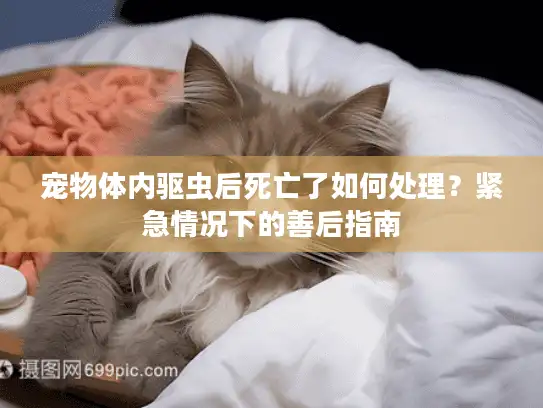 宠物体内驱虫后死亡了如何处理？紧急情况下的善后指南