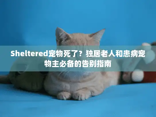 Sheltered宠物死了？独居老人和患病宠物主必备的告别指南