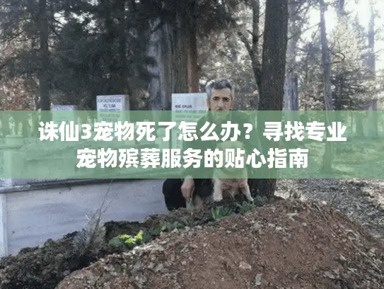 诛仙3宠物死了怎么办？寻找专业宠物殡葬服务的贴心指南