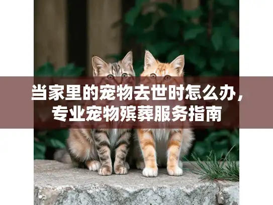 当家里的宠物去世时怎么办，专业宠物殡葬服务指南