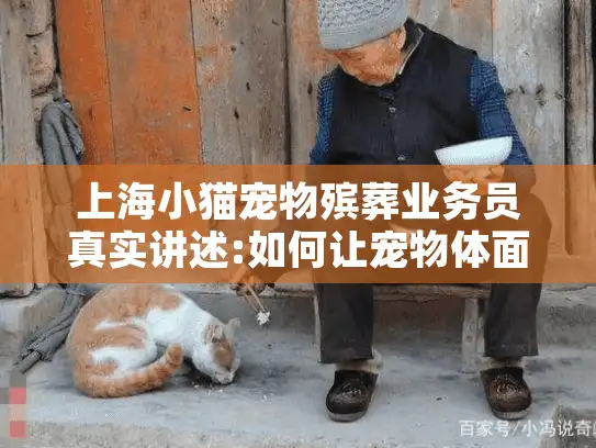 上海小猫宠物殡葬业务员真实讲述:如何让宠物体面告别?