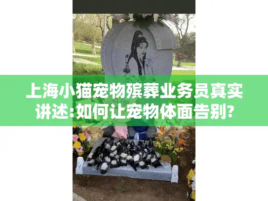 上海小猫宠物殡葬业务员真实讲述:如何让宠物体面告别?