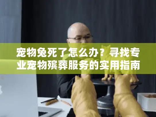 宠物兔死了怎么办？寻找专业宠物殡葬服务的实用指南