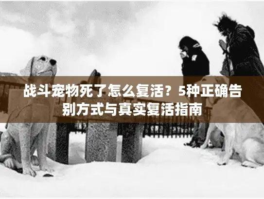 战斗宠物死了怎么复活？5种正确告别方式与真实复活指南